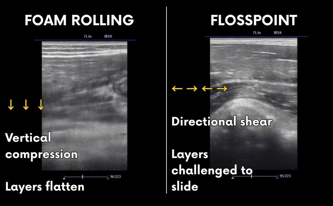 MSK ultrasound comparison showing foam rolling vertical compression versus FlossPoint directional shear at tissue interfaces during movement